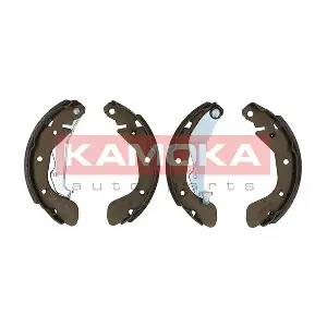 JQ202040 KAMOKA