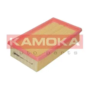 KAMOKA F208501