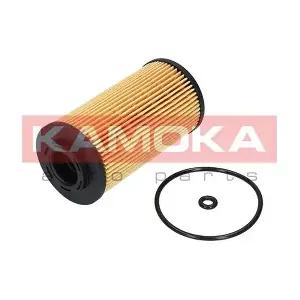 F111001 KAMOKA
