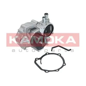 KAMOKA T0261