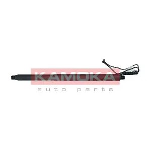 7094069 KAMOKA