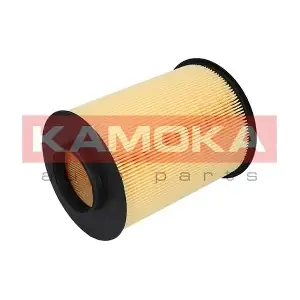 KAMOKA F215801