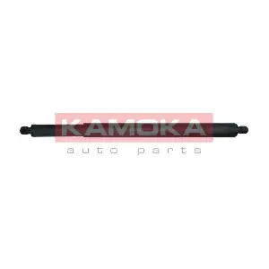 7092638 KAMOKA