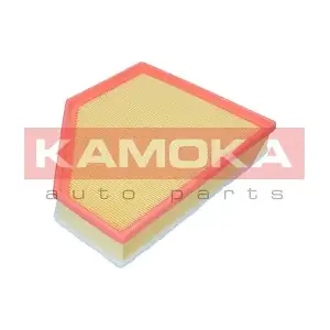 F255401 KAMOKA
