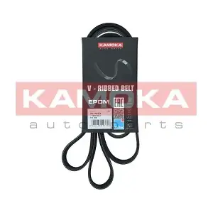 7017033 KAMOKA