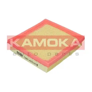KAMOKA F258901