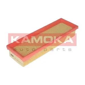 KAMOKA F222801