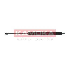 7092166 KAMOKA