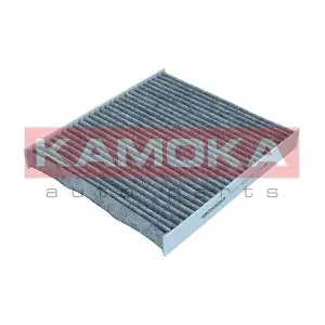 KAMOKA F521601