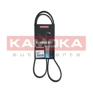 7014073 KAMOKA