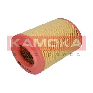 KAMOKA F213901