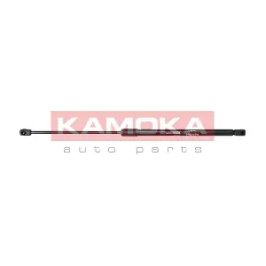 KAMOKA 7092018