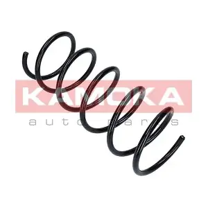 2110025 KAMOKA