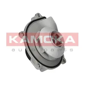 T0074 KAMOKA