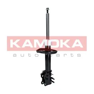2000009 KAMOKA