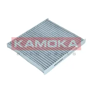 KAMOKA F510101