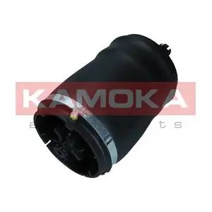 2079031 KAMOKA