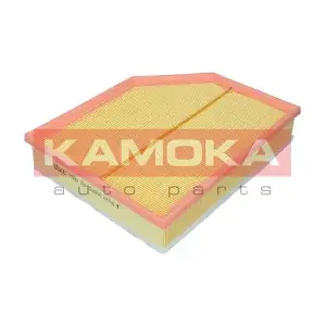 F250501 KAMOKA