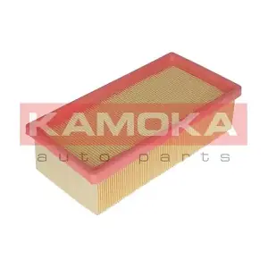 KAMOKA F235301