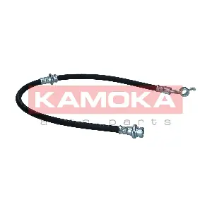 1170019 KAMOKA