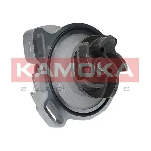 KAMOKA T0275