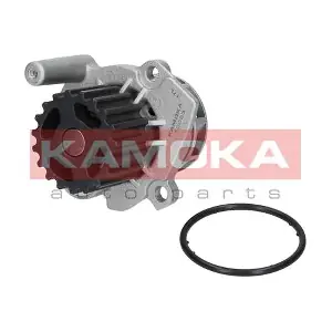 KAMOKA T0023