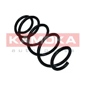 2110831 KAMOKA