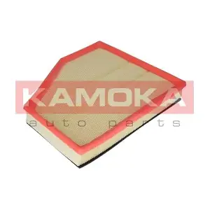 F219601 KAMOKA
