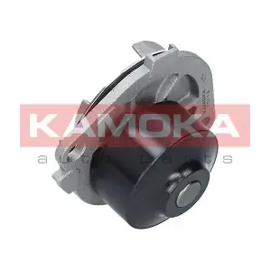KAMOKA T0113