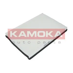 KAMOKA F407601