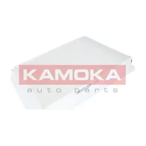 KAMOKA F415301