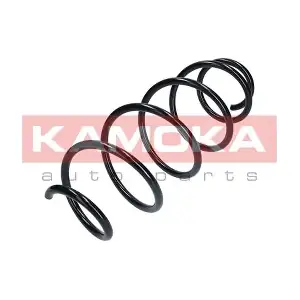 2110279 KAMOKA