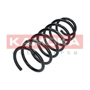 2110089 KAMOKA