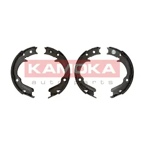 JQ212033 KAMOKA