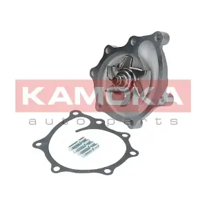 T0169 KAMOKA