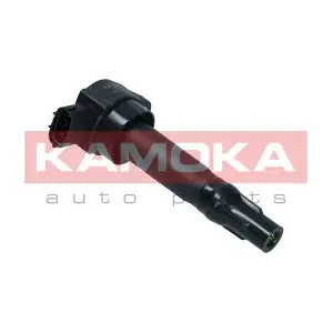 7120129 KAMOKA