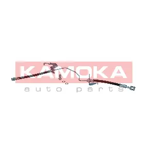 1170021 KAMOKA