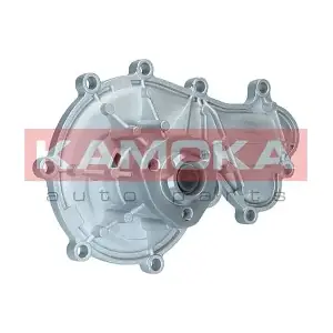 KAMOKA T0317