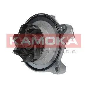 KAMOKA T0271