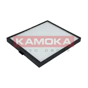 KAMOKA F410701
