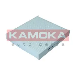 KAMOKA F423101