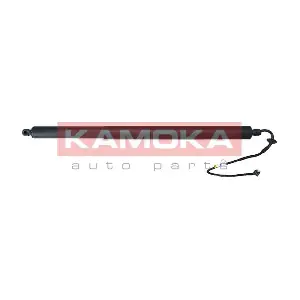 7094049 KAMOKA