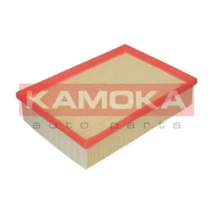 KAMOKA F206901