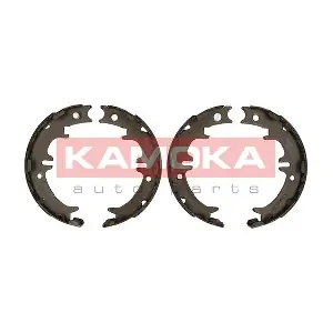 KAMOKA JQ212045