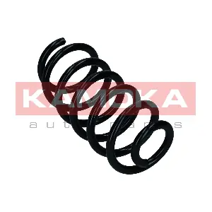 2120593 KAMOKA