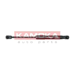7091028 KAMOKA