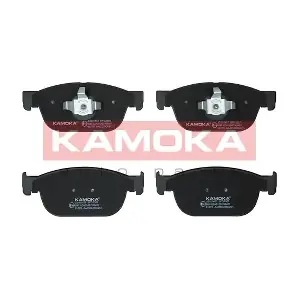 JQ101457 KAMOKA