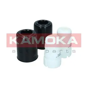 2019121 KAMOKA