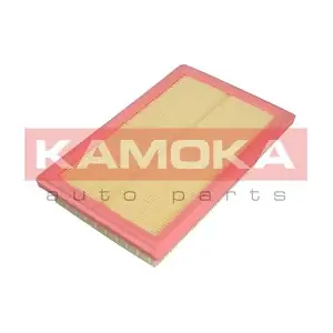 KAMOKA F239301