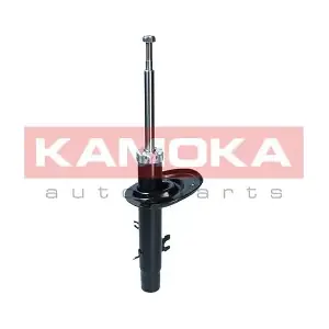 2000171 KAMOKA
